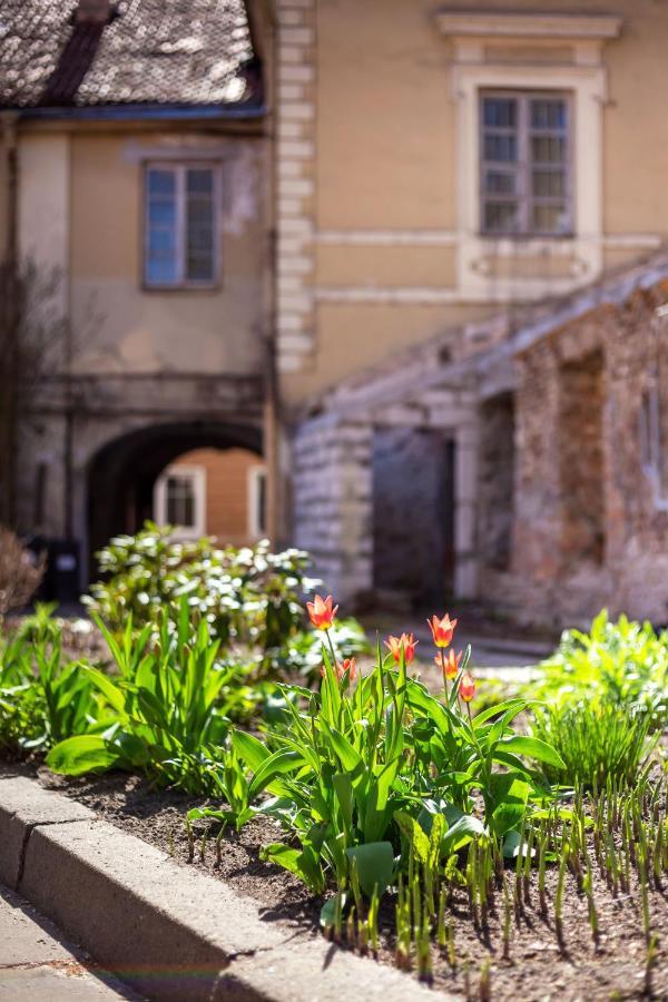 #Stayhere - Historic Vilnius Old Town Chic Studio Exteriör bild